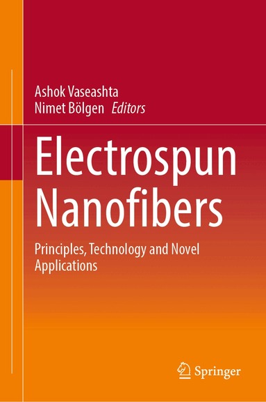 Ashok Vaseashta, Nimet Bölgen - Electrospun Nanofibers, Inbunden