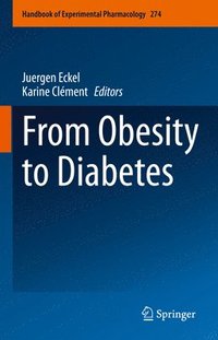 bokomslag From Obesity to Diabetes