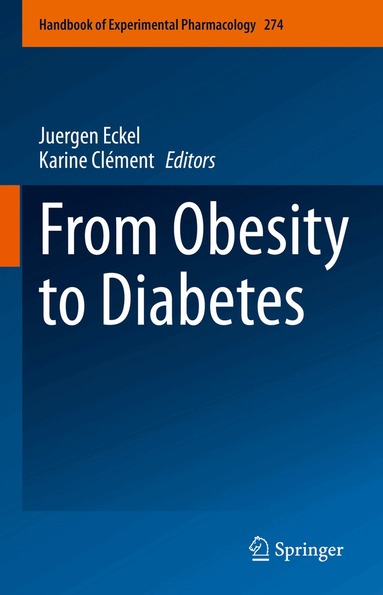 Juergen Eckel, Karine Clément - From Obesity to Diabetes, Inbunden