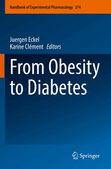 Juergen Eckel, Karine Clément - From Obesity to Diabetes, Häftad