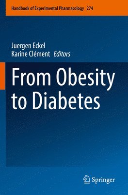 bokomslag From Obesity to Diabetes