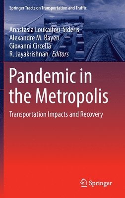 bokomslag Pandemic in the Metropolis