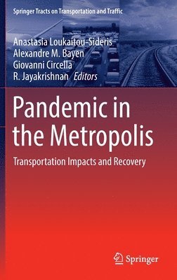 Pandemic in the Metropolis 1