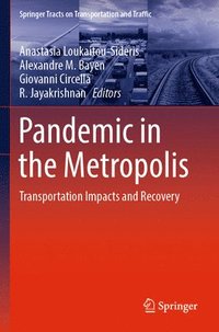bokomslag Pandemic in the Metropolis