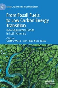 bokomslag From Fossil Fuels to Low Carbon Energy Transition