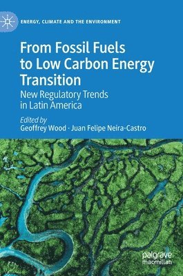 bokomslag From Fossil Fuels to Low Carbon Energy Transition
