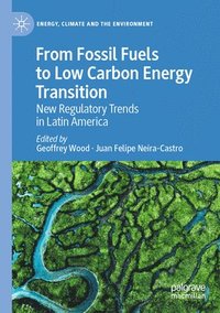 bokomslag From Fossil Fuels to Low Carbon Energy Transition