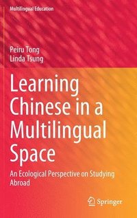 bokomslag Learning Chinese in a Multilingual Space