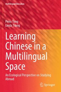 bokomslag Learning Chinese in a Multilingual Space