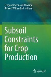 bokomslag Subsoil Constraints for Crop Production