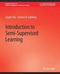 bokomslag Introduction to Semi-Supervised Learning