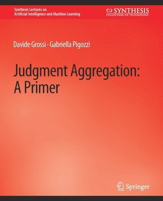 bokomslag Judgment Aggregation