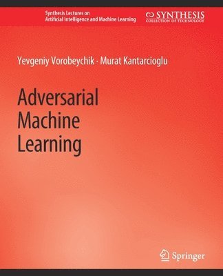 Adversarial Machine Learning 1