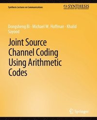 bokomslag Joint Source Channel Coding Using Arithmetic Codes