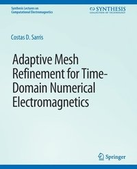 bokomslag Adaptive Mesh Refinement in Time-Domain Numerical Electromagnetics