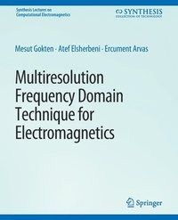bokomslag Multiresolution Frequency Domain Technique for Electromagnetics