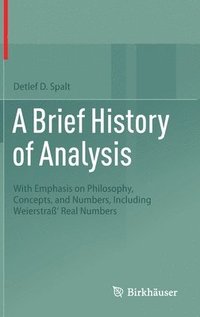 bokomslag A Brief History of Analysis