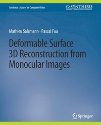 bokomslag Deformable Surface 3D Reconstruction from Monocular Images