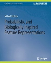 bokomslag Probabilistic and Biologically Inspired Feature Representations