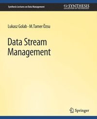 bokomslag Data Stream Management