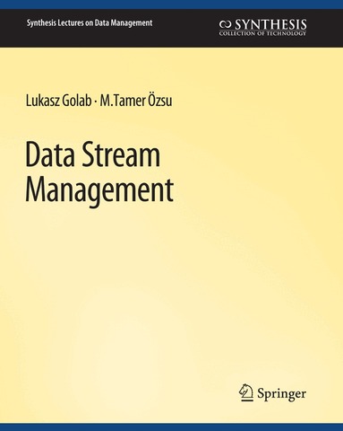 Lukasz Golab, M. Tamer Ozsu - Data Stream Management, Häftad