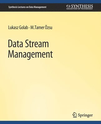 Lukasz Golab, M. Tamer Ozsu - Data Stream Management, Häftad