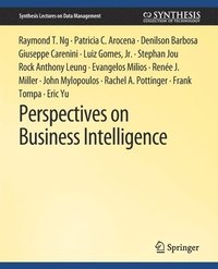 bokomslag Perspectives on Business Intelligence