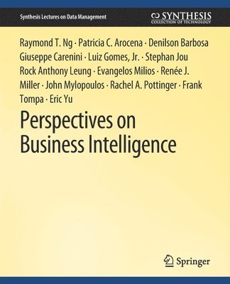 Perspectives on Business Intelligence 1