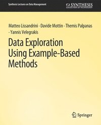 bokomslag Data Exploration Using Example-Based Methods