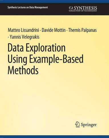 bokomslag Data Exploration Using Example-Based Methods