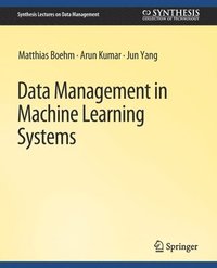 bokomslag Data Management in Machine Learning Systems