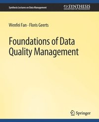 bokomslag Foundations of Data Quality Management