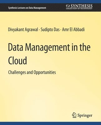 Data Management in the Cloud 1