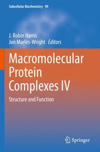 bokomslag Macromolecular Protein Complexes IV