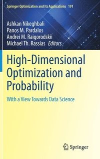bokomslag High-Dimensional Optimization and Probability