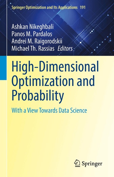 Ashkan Nikeghbali, Panos M. Pardalos, Andrei M. Raigorodskii, Michael Th. Rassias - High-Dimensional Optimization and Probability, Inbunden