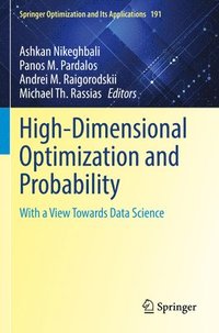 bokomslag High-Dimensional Optimization and Probability