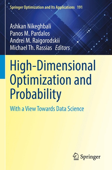 Ashkan Nikeghbali, Panos M. Pardalos, Andrei M. Raigorodskii, Michael Th. Rassias - High-Dimensional Optimization and Probability, Häftad