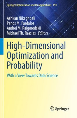 Ashkan Nikeghbali, Panos M. Pardalos, Andrei M. Raigorodskii, Michael Th. Rassias - High-Dimensional Optimization and Probability, Häftad