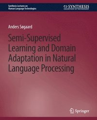 bokomslag Semi-Supervised Learning and Domain Adaptation in Natural Language Processing