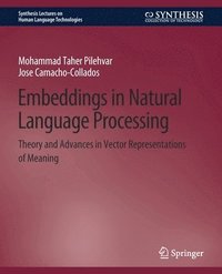 bokomslag Embeddings in Natural Language Processing