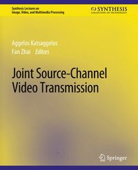bokomslag Joint Source-Channel Video Transmission