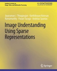 bokomslag Image Understanding using Sparse Representations