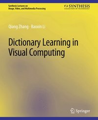 bokomslag Dictionary Learning in Visual Computing