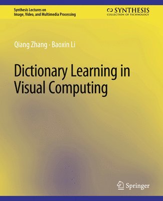 bokomslag Dictionary Learning in Visual Computing