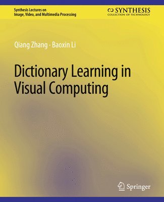 Dictionary Learning in Visual Computing 1