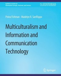 bokomslag Multiculturalism and Information and Communication Technology