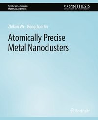 bokomslag Atomically Precise Metal Nanoclusters