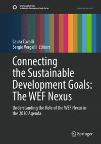 bokomslag Connecting the Sustainable Development Goals: The WEF Nexus