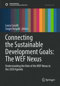 bokomslag Connecting the Sustainable Development Goals: The WEF Nexus